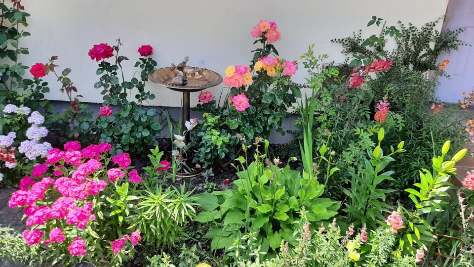 Spring, Garden, Garden view