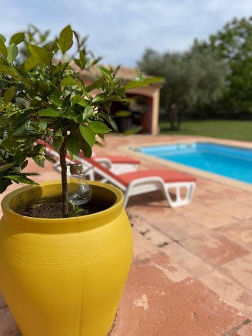 Le calme de la campagne proche de tout..... House in French Riviera