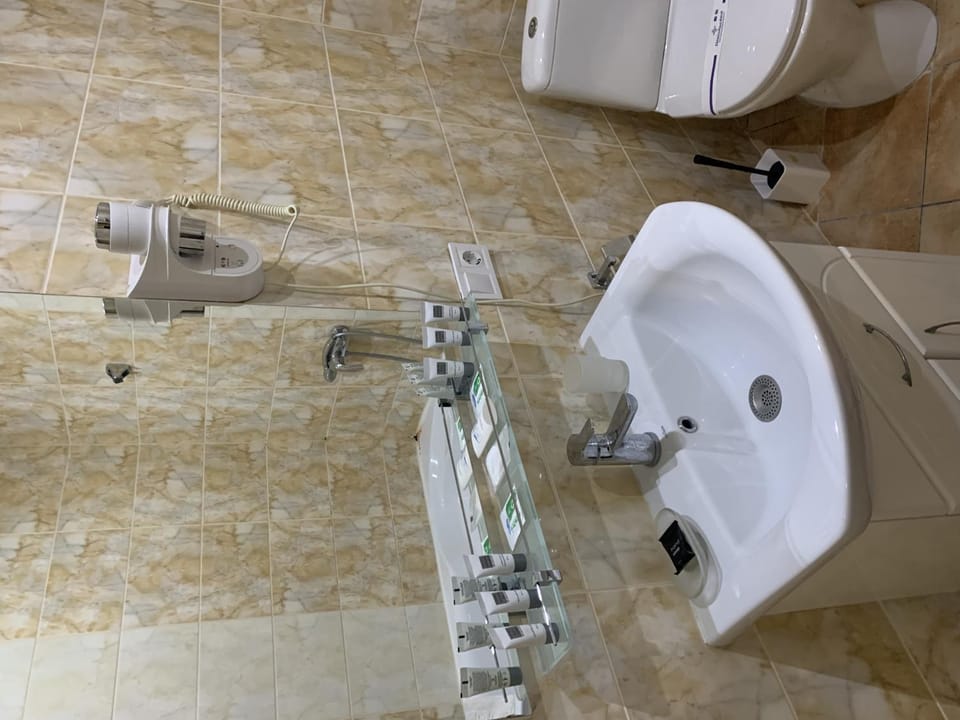Toilet, Bathroom