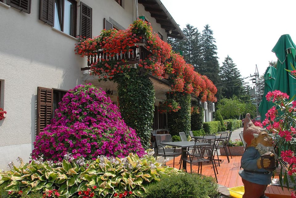 Patio, Facade/entrance