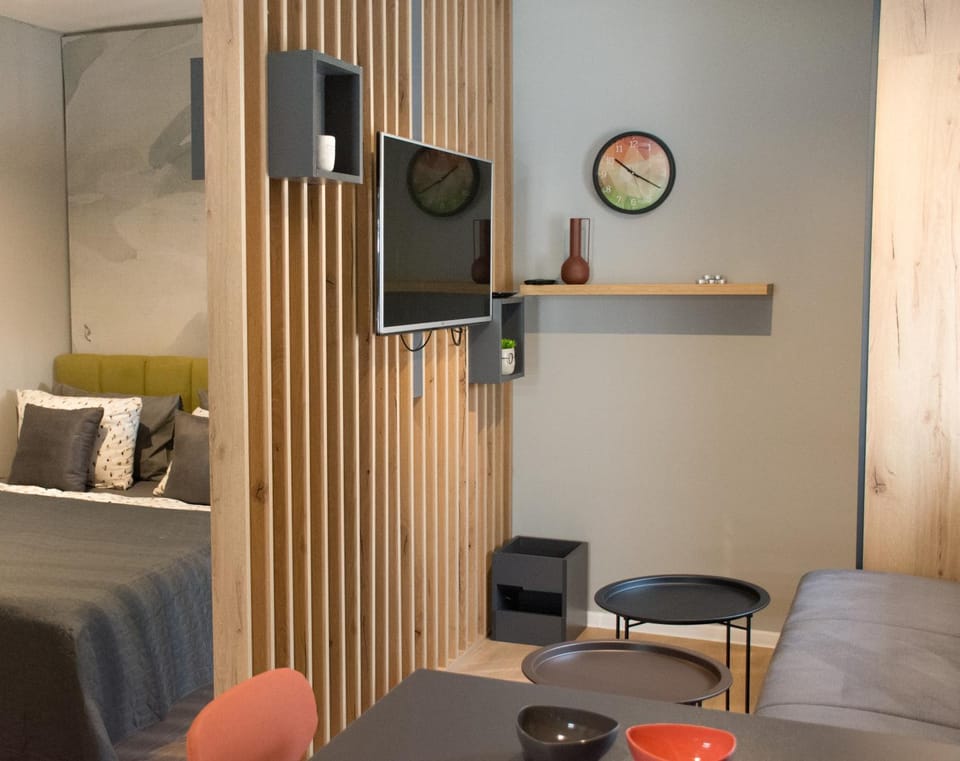 Bed, TV and multimedia, Living room, Photo of the whole room, Seating area, Evening entertainment, Bedroom, wardrobe