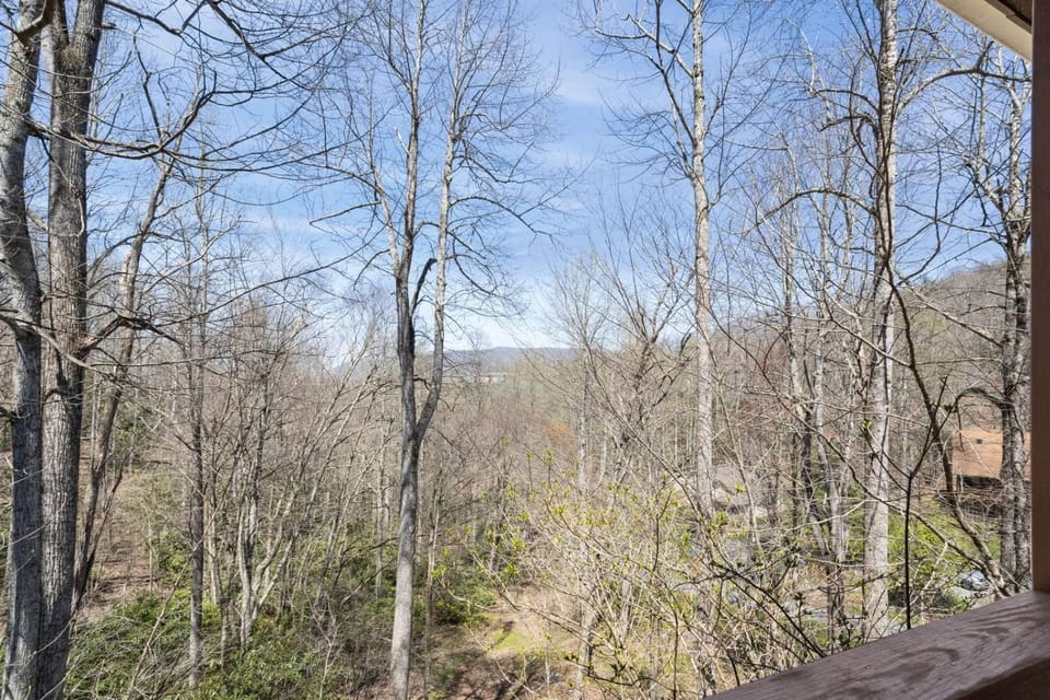 Eagles View House in Boone