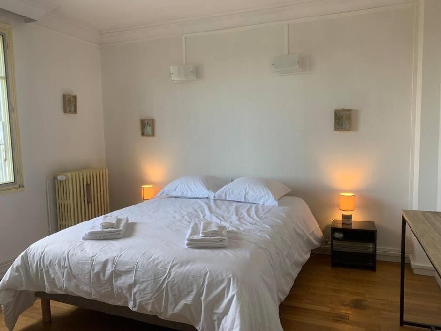 Spacieux Duplex centre Tours et bord du Cher Loire Valley Apartment in Tours