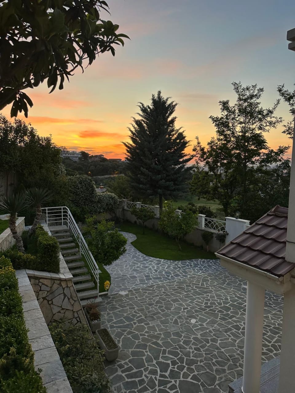 Day, Natural landscape, Garden, Garden view, Sunrise, Sunset
