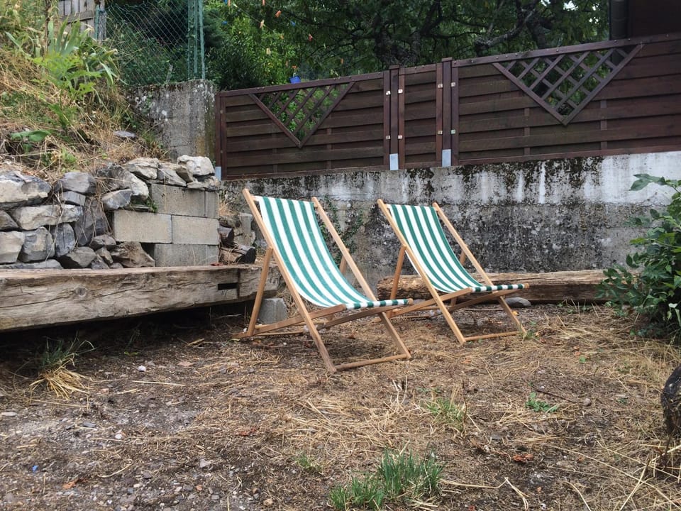 Garden, Garden view, sunbed