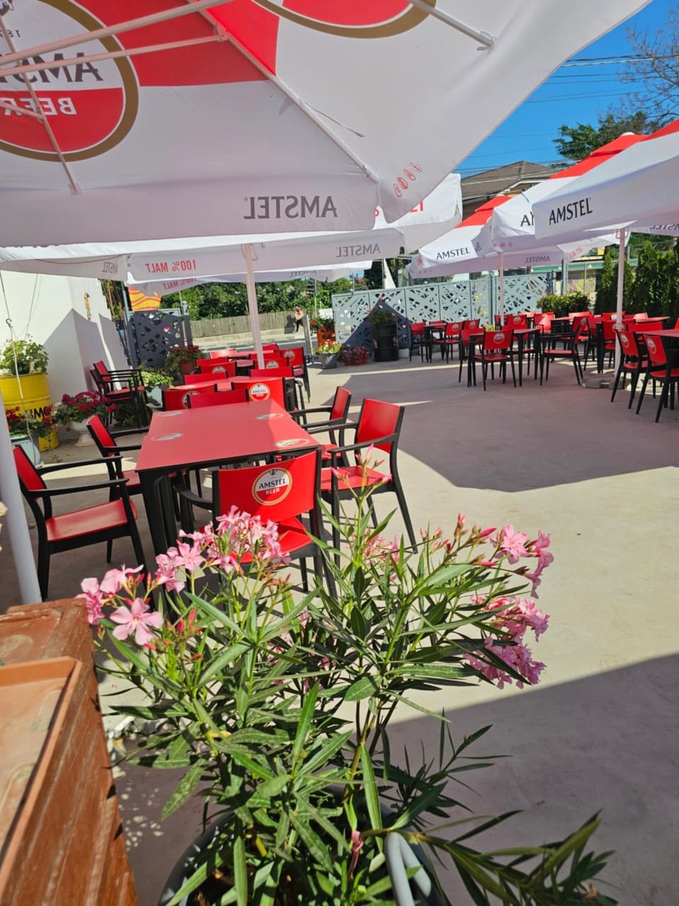 Vila Angelys Bed and Breakfast in Constanța County