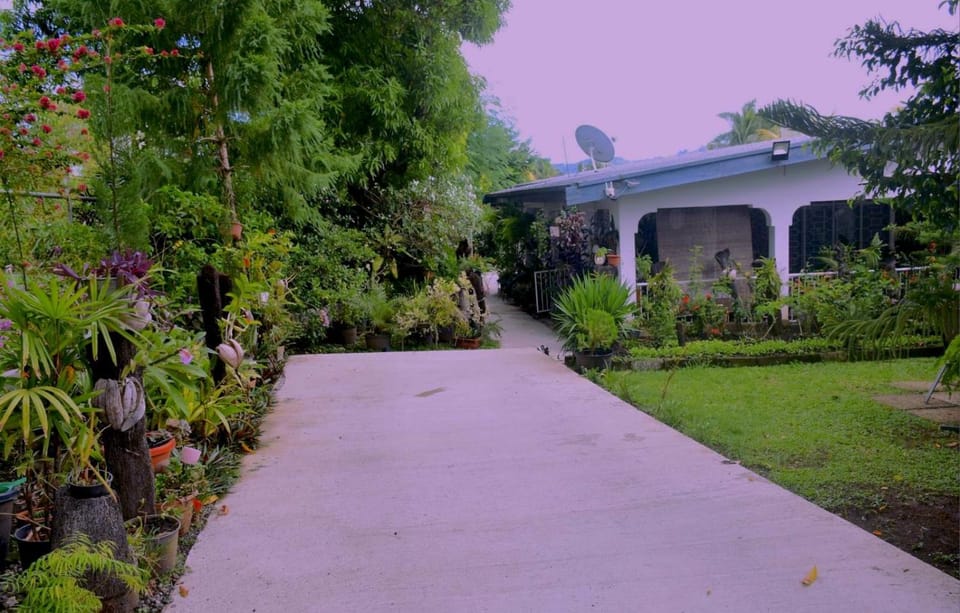 Garden, Parking