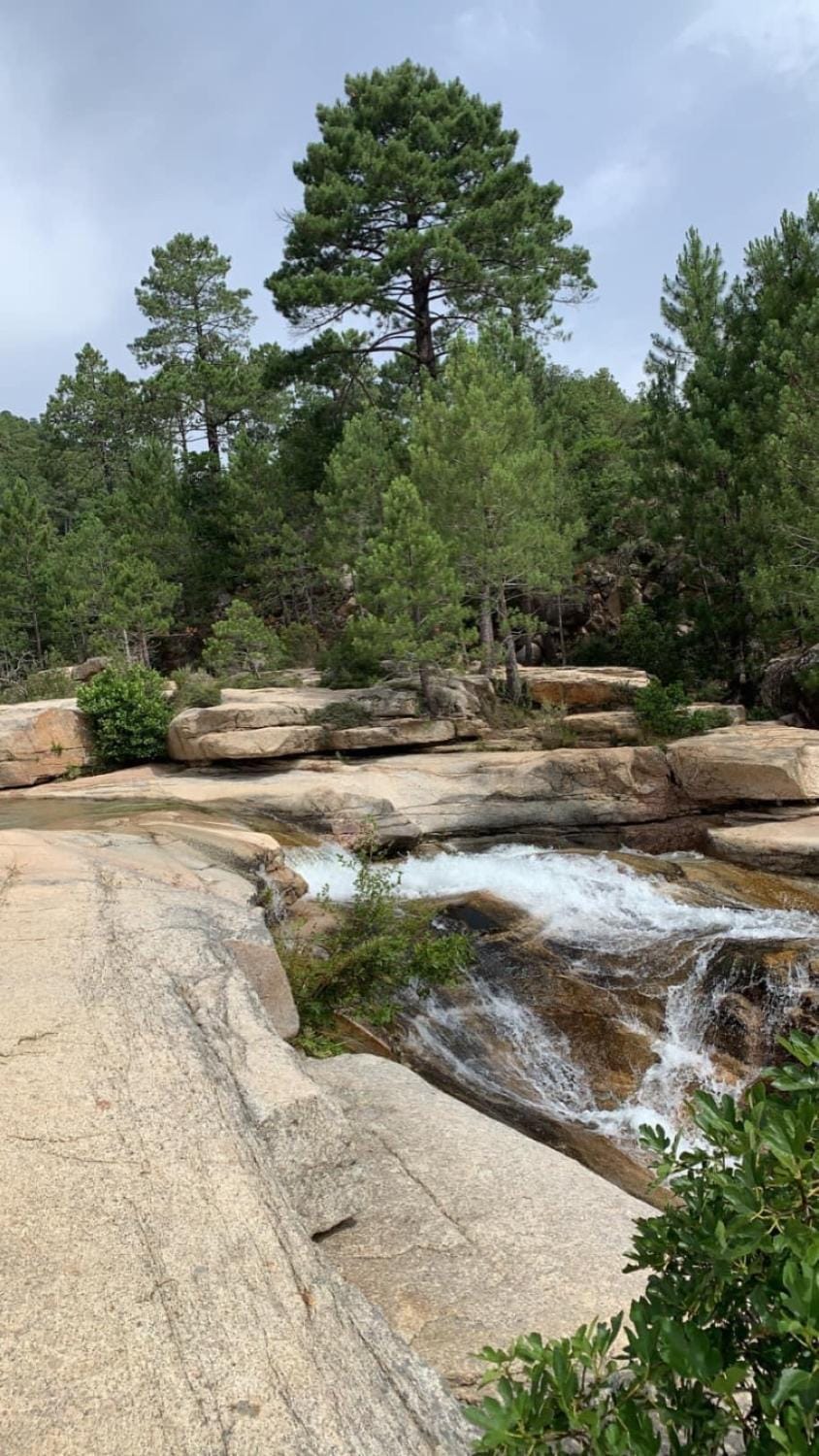 Natural landscape, River view
