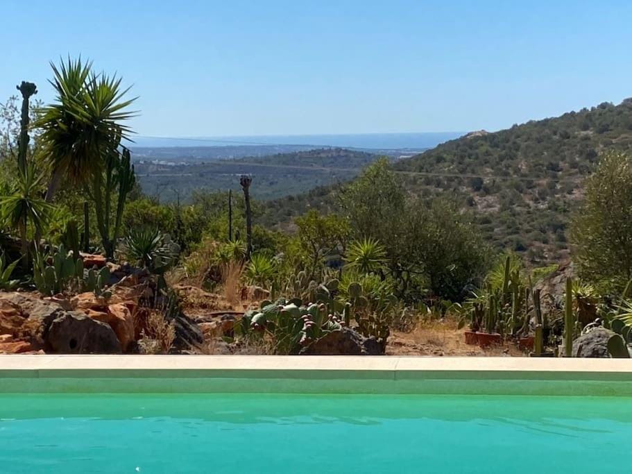 Mountain view, Pool view