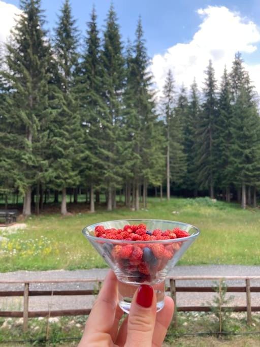 Stojovic house House in Montenegro