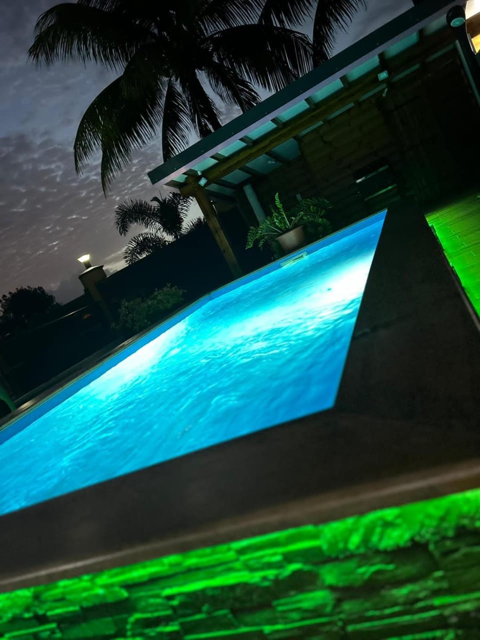 Les cocotiers d'Aladya Villa in Leeward Islands