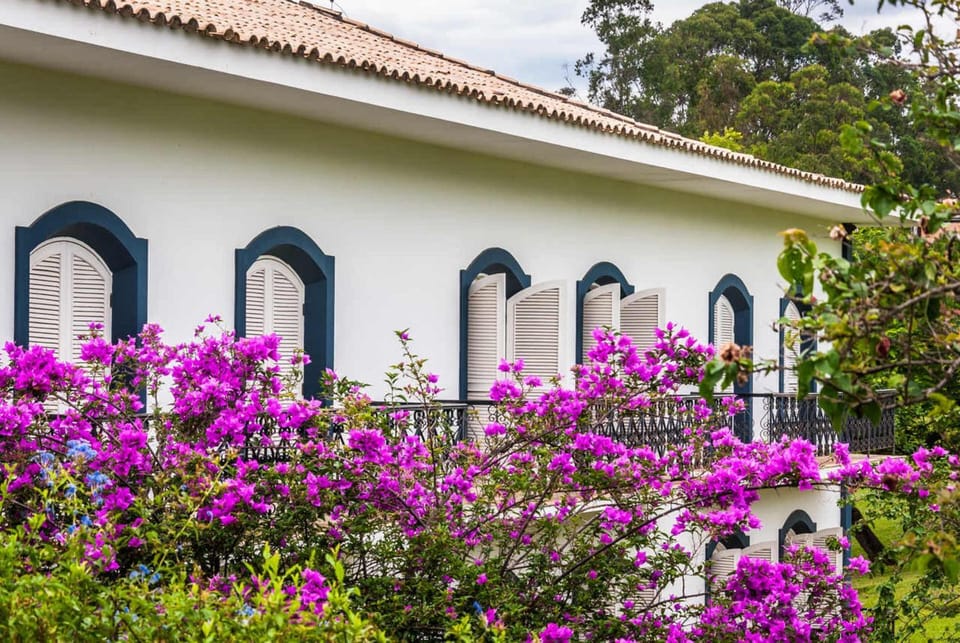 Property building, Day, Garden, Garden view