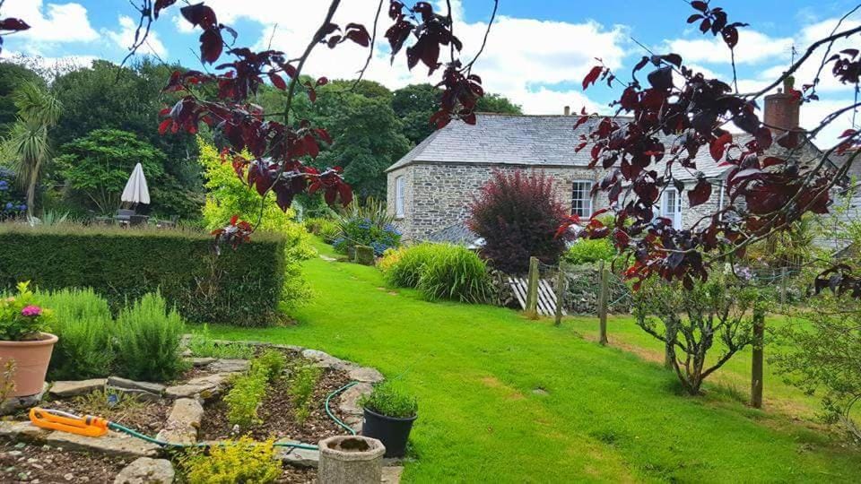 Natural landscape, Garden, Garden view