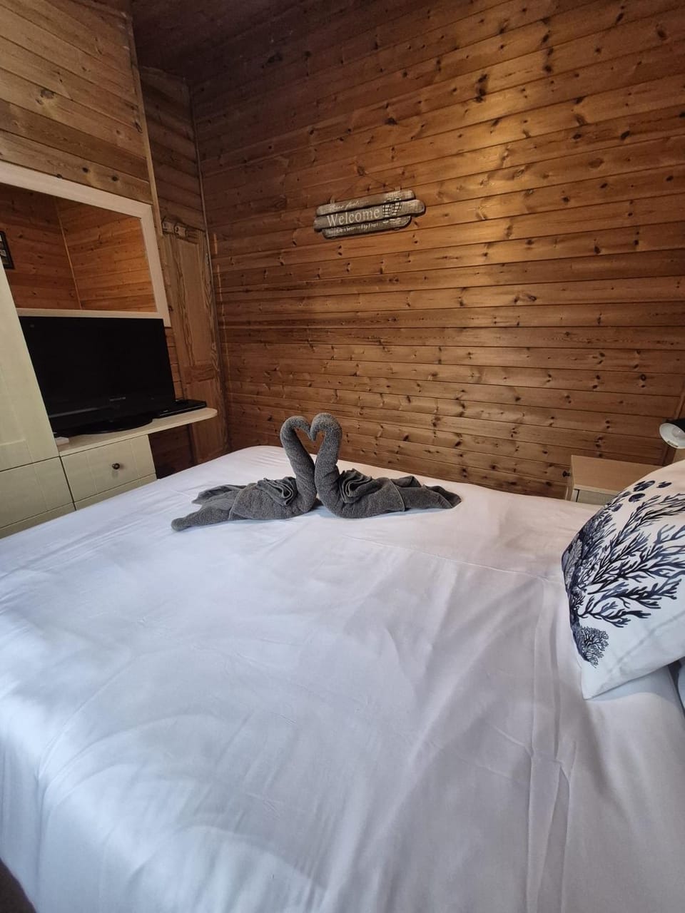 Surf Lodge House in Ilfracombe