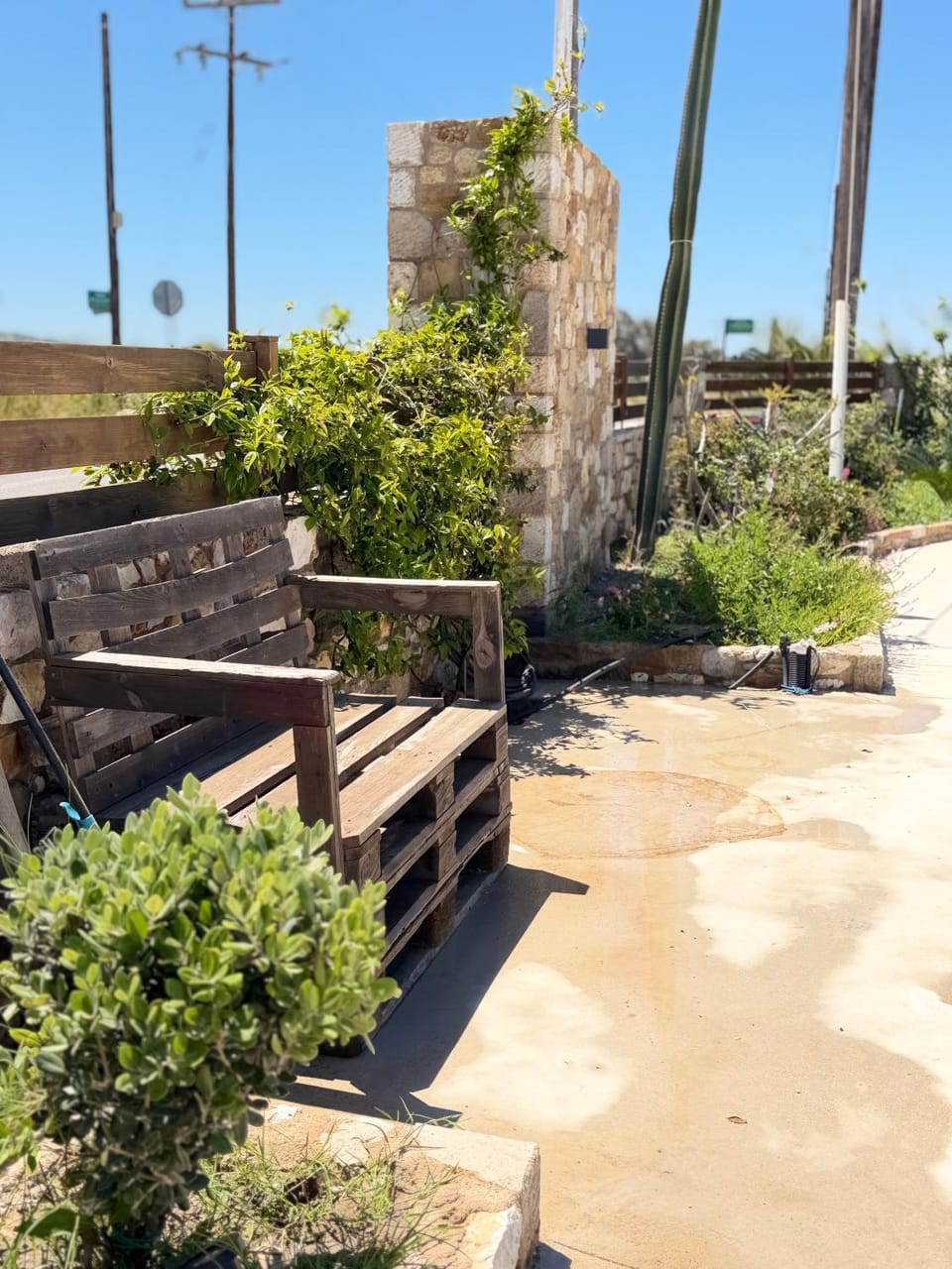 Garden, Garden view, Time of day