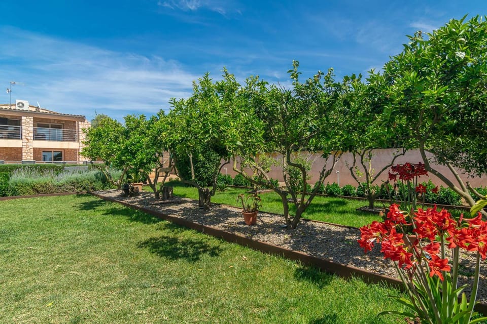 Garden, Other