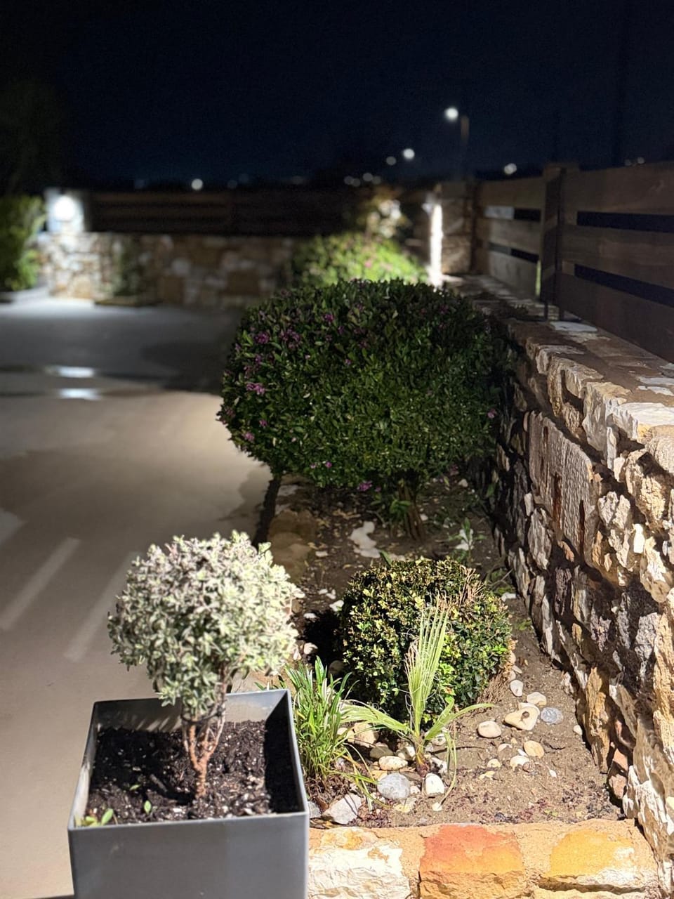 Night, Garden, Garden view