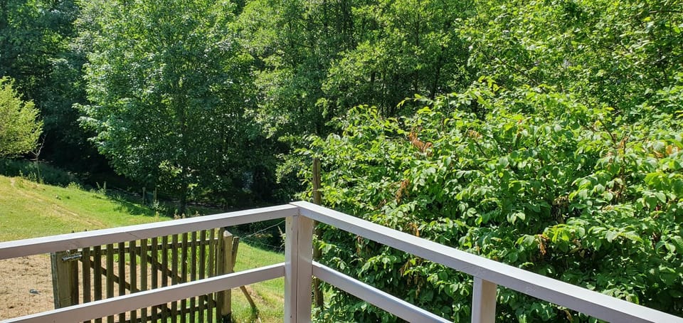 Chalet Les Allores Dohan (Bouillon) Chalet in Wallonia, Belgium