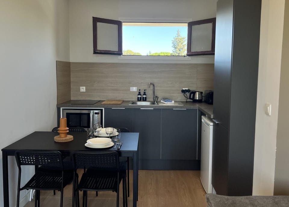 Kitchen or kitchenette, Dining area, stove