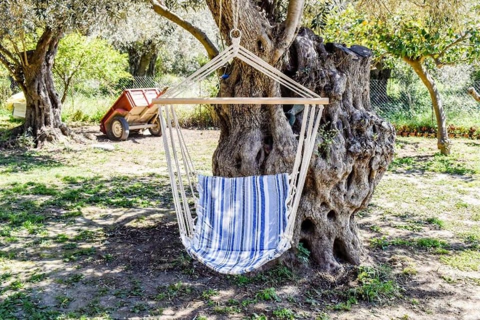 HUT HOUSE Εξοχικό στην παραλία Μ. Άμμος House in Skiathos