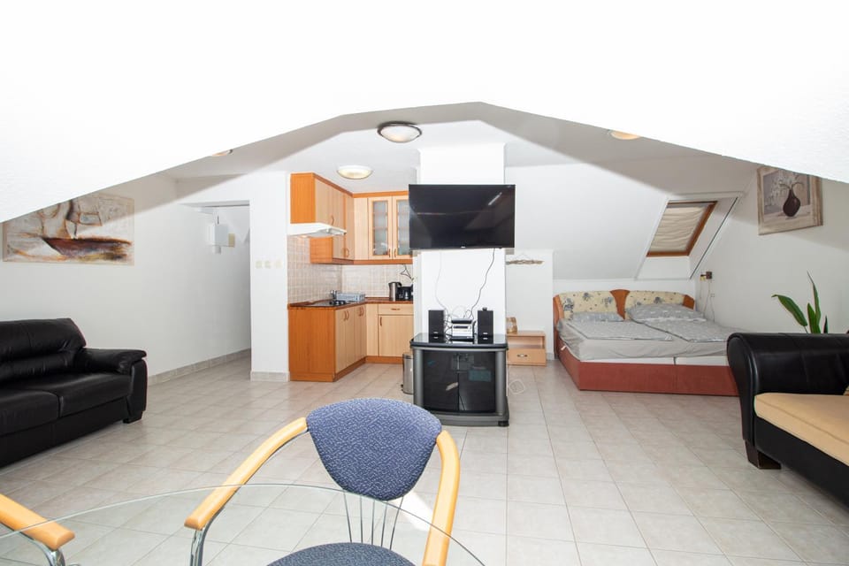 980 - Közvetlen vízparti panorámás egy légterű, tágas, tetőtéri apartman Apartment in Balatonszárszó