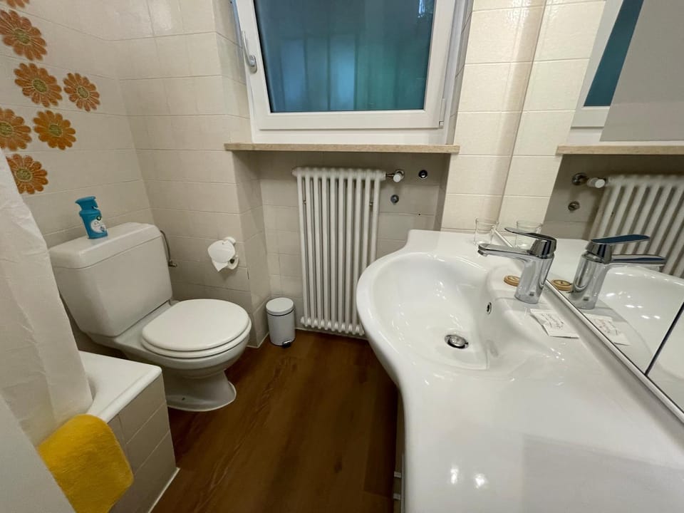 Toilet, Bathroom, Bath