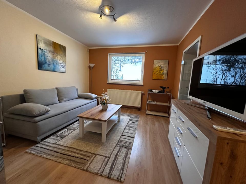 Weinrebe Oberhermsdorf nahe Dresden Apartment in Freital