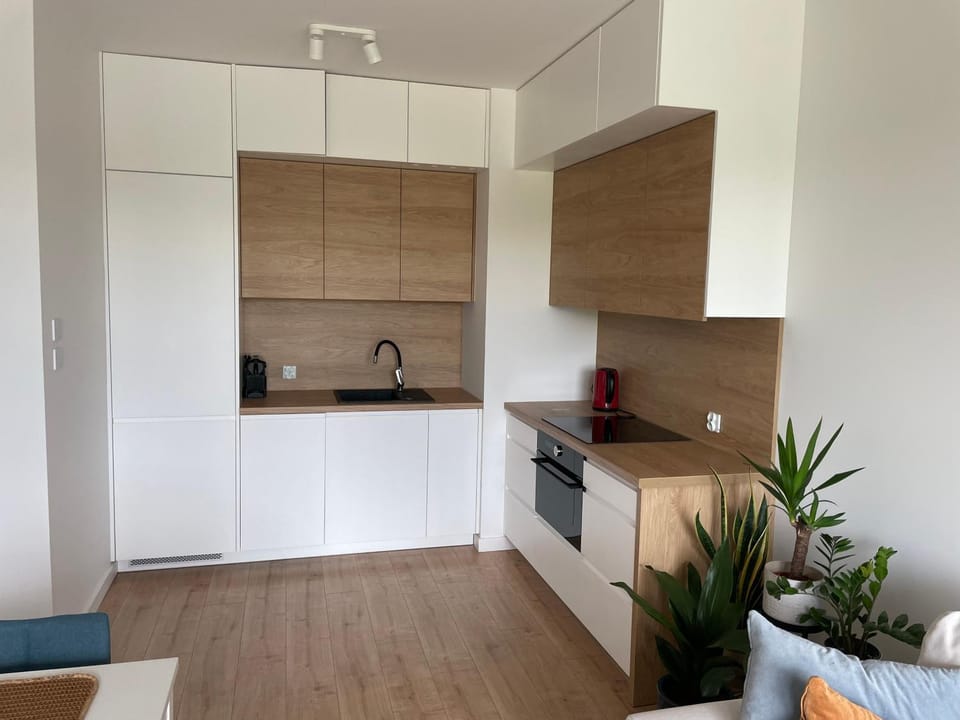 Kitchen or kitchenette, minibar, stove
