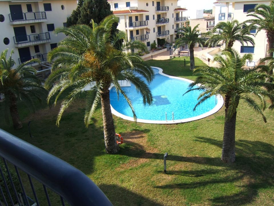 Day, Garden, Garden view, Pool view, Swimming pool