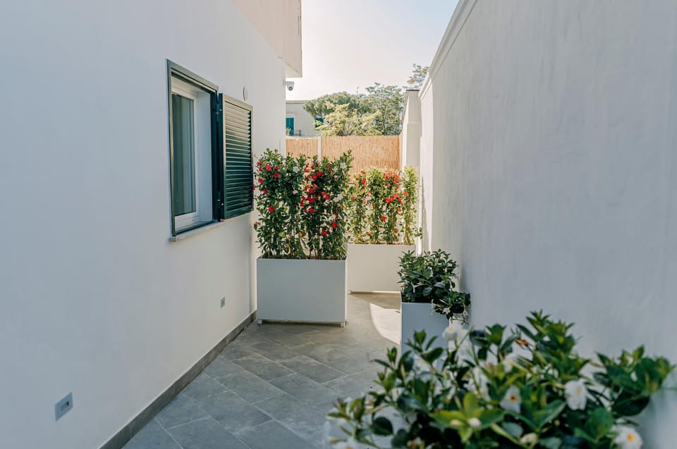 Davalos 14 Luxury Home Apartment in Ischia