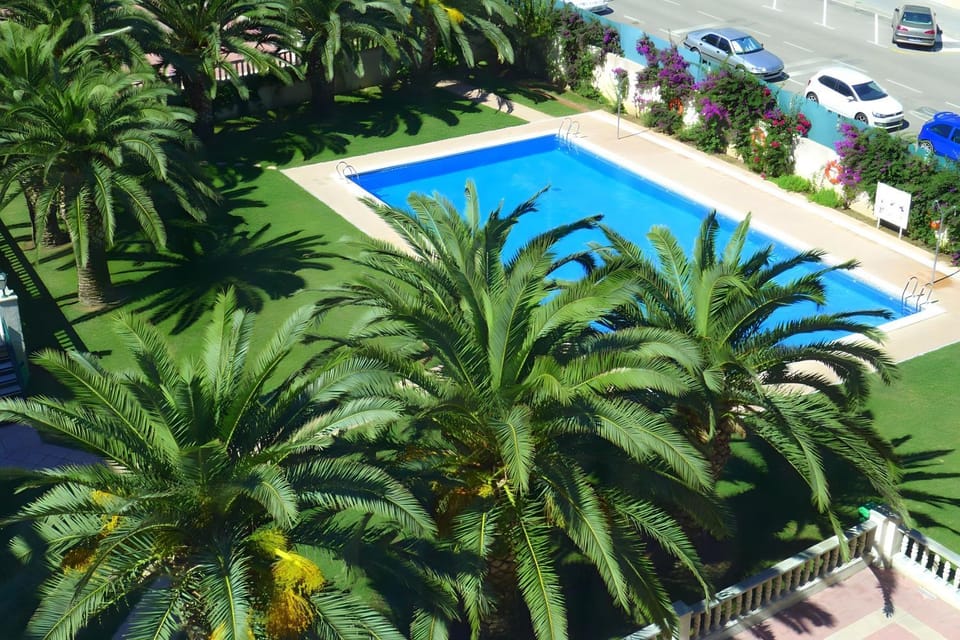 Garden, Garden view, Pool view, Swimming pool
