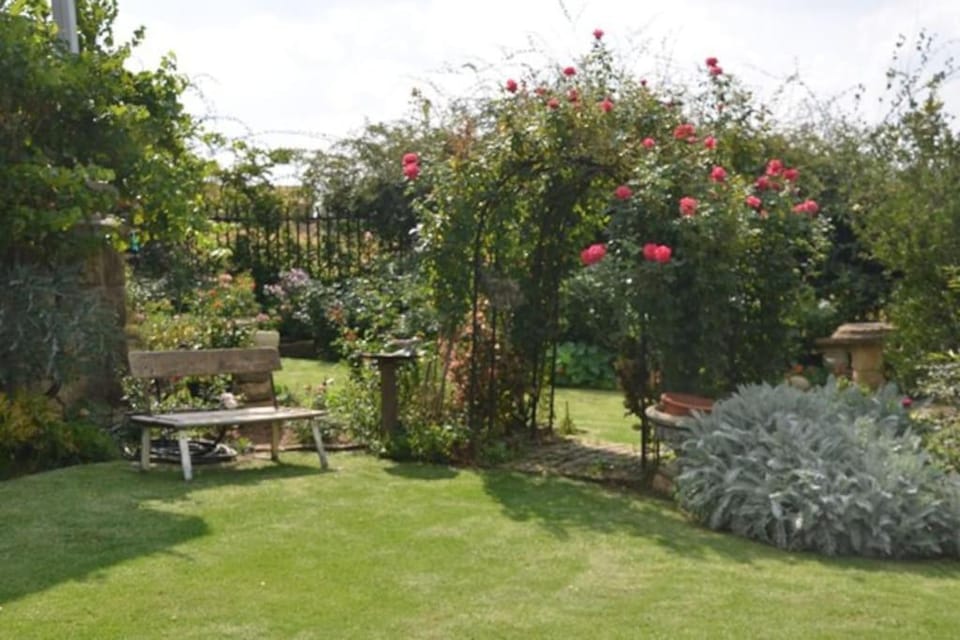 Day, Garden, Garden view