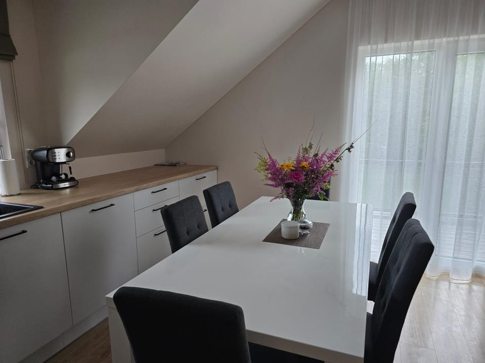 Kitchen or kitchenette, Dining area