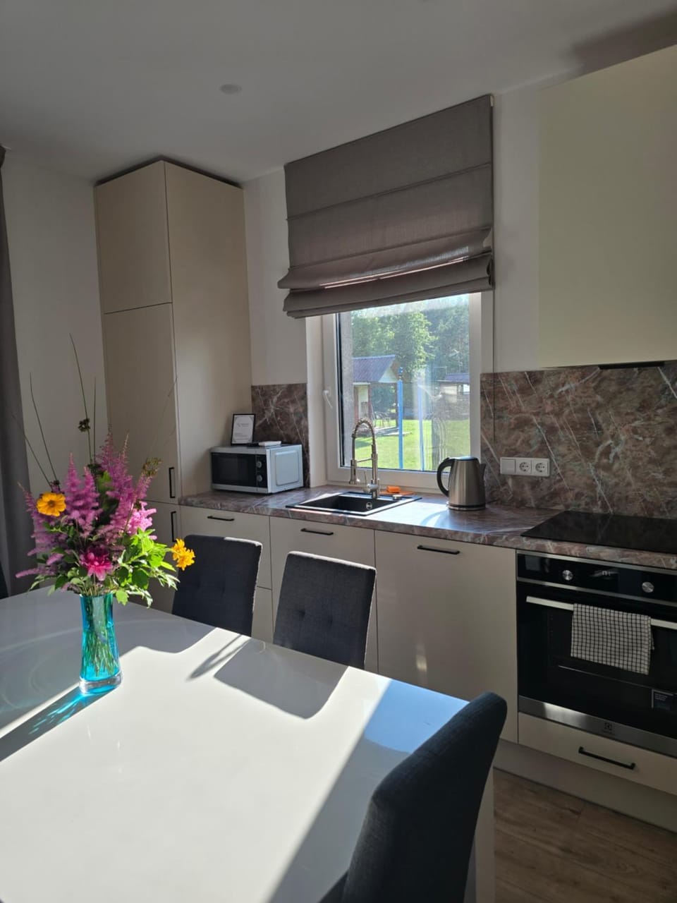 Kitchen or kitchenette, Dining area, stove