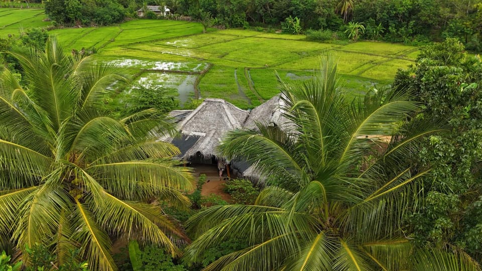 Restaurant/places to eat, Restaurant/places to eat, Natural landscape, Garden, Garden view