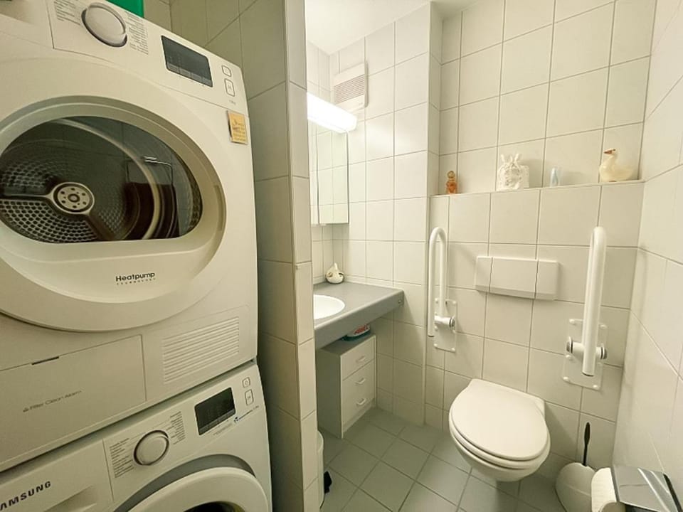 Toilet, washing machine, dryer