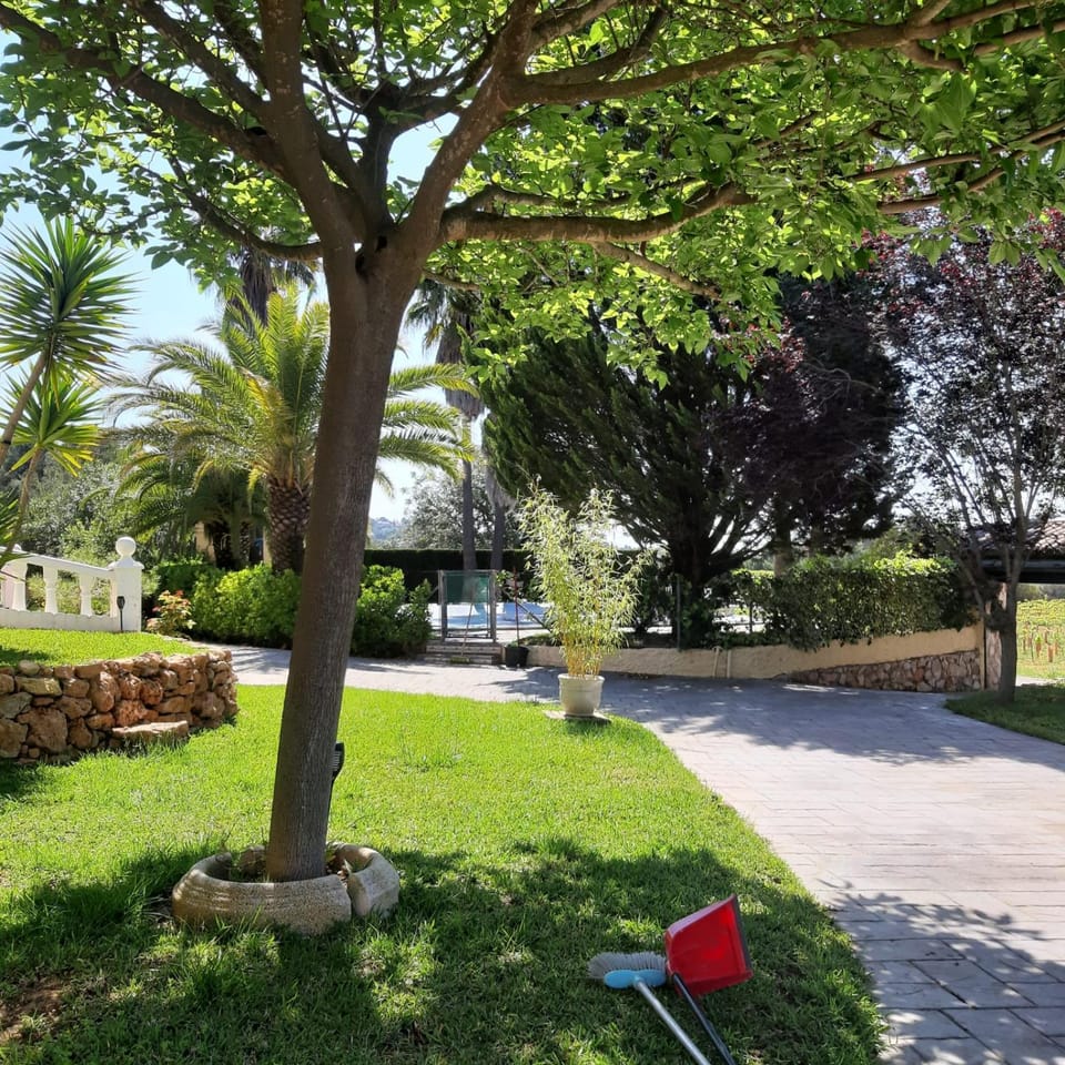 Casa Vitalis House in Valencian Community