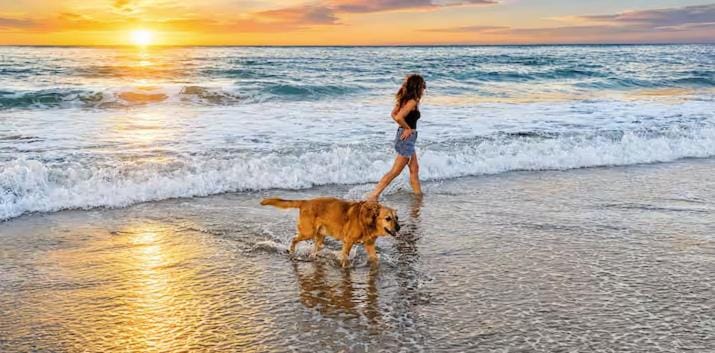 Beach & Surf Days - Lower Rates - Fall Specials! Villa in Fort Pierce