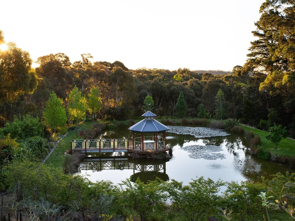 Lake view