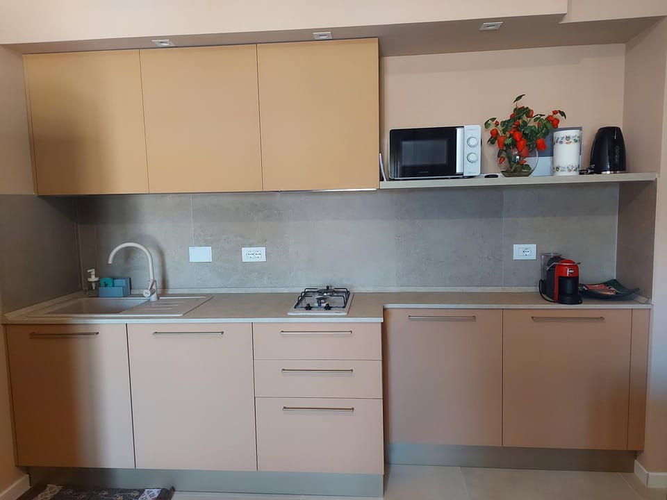 Kitchen or kitchenette, minibar