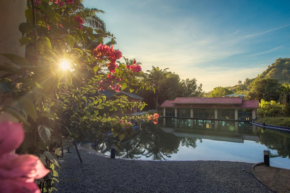 Day, Natural landscape, Garden, Garden view, Swimming pool