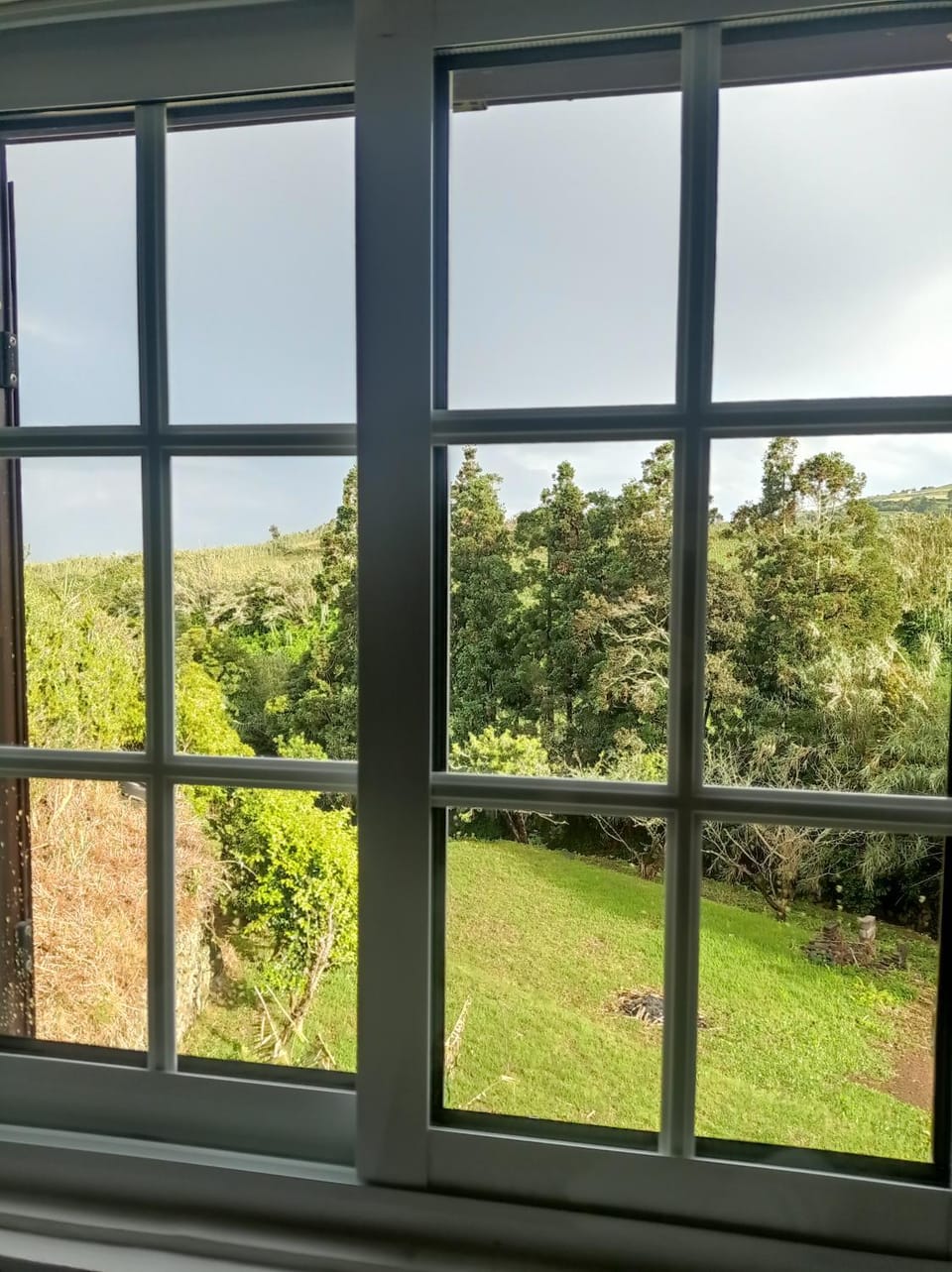 Natural landscape, Garden, View (from property/room), Garden view