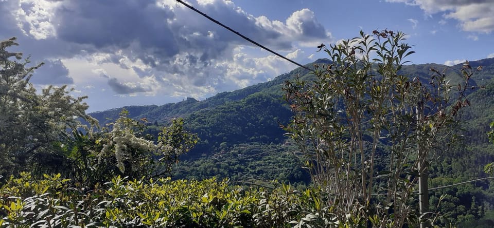 Spring, Natural landscape, Mountain view