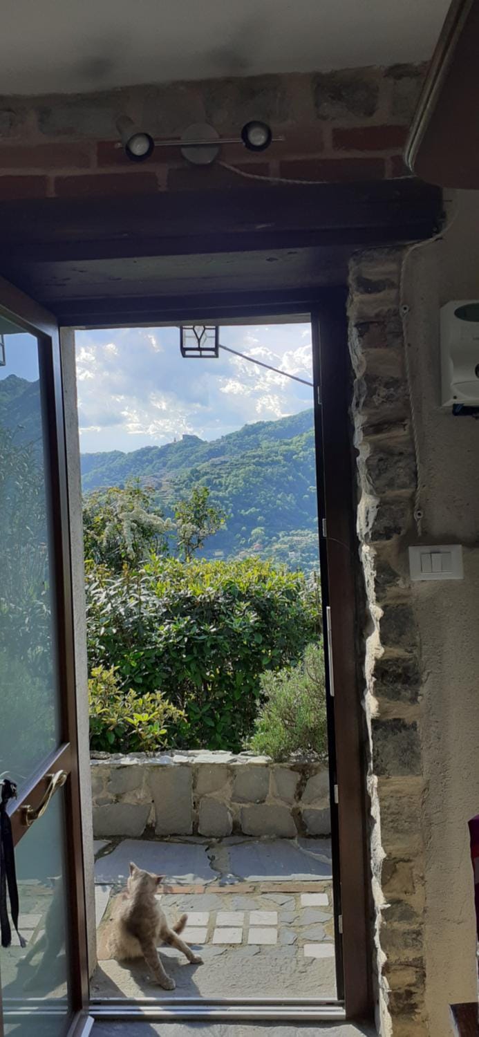 Natural landscape, View (from property/room), Balcony/Terrace