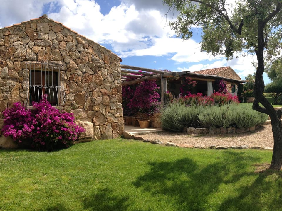 Property building, Day, Garden