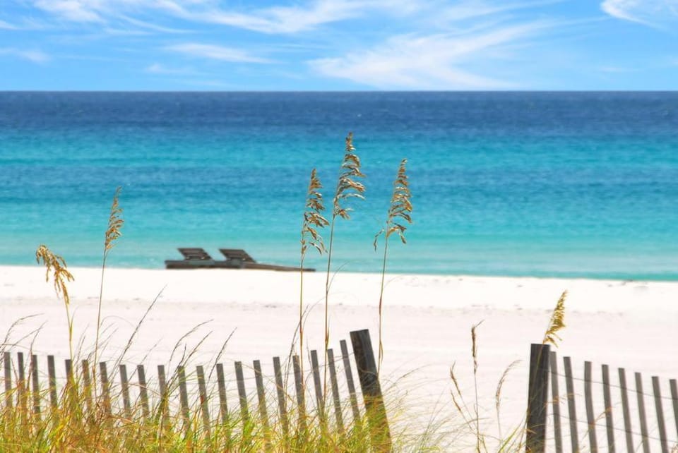 104 Surf Dweller by Alicia Hollis Realtor Rentals - Open March 23rd for 4 Nights House in Okaloosa Island