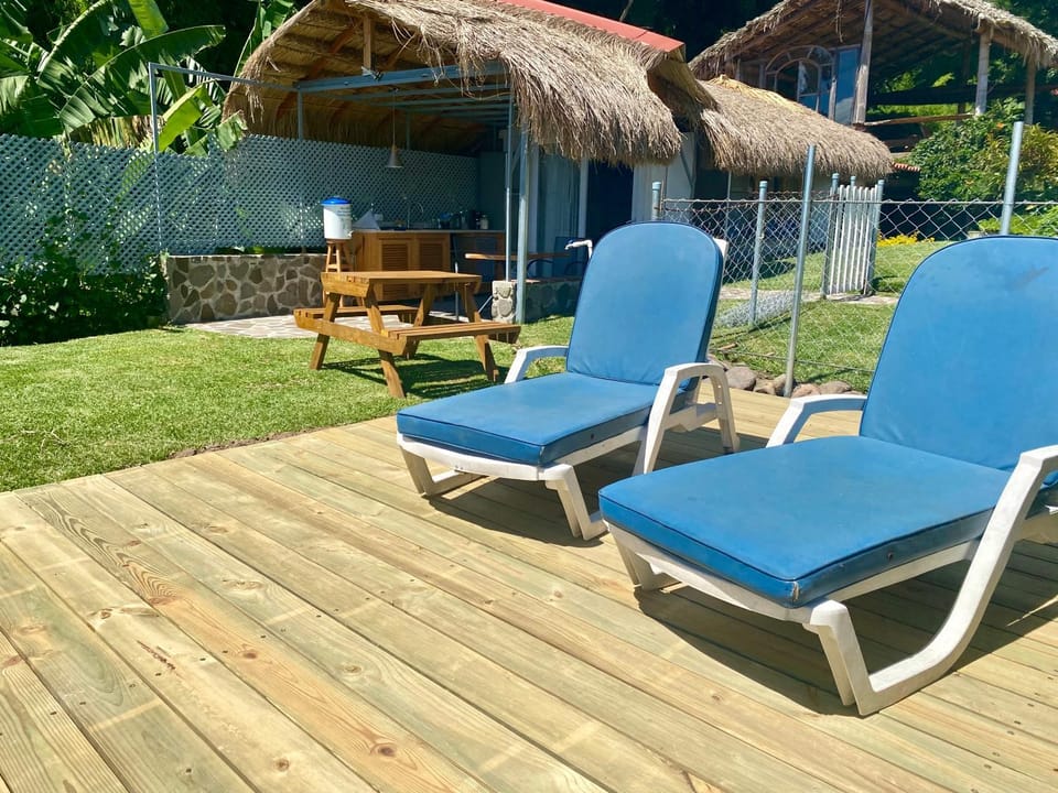 Patio, Day, Garden view, sunbed