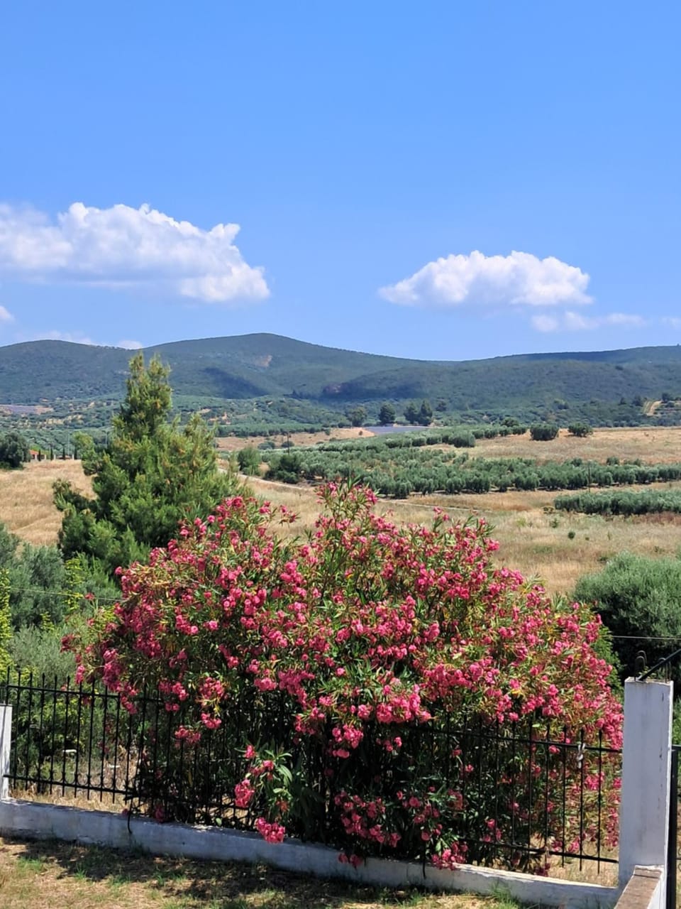 Elia House Villa in Halkidiki