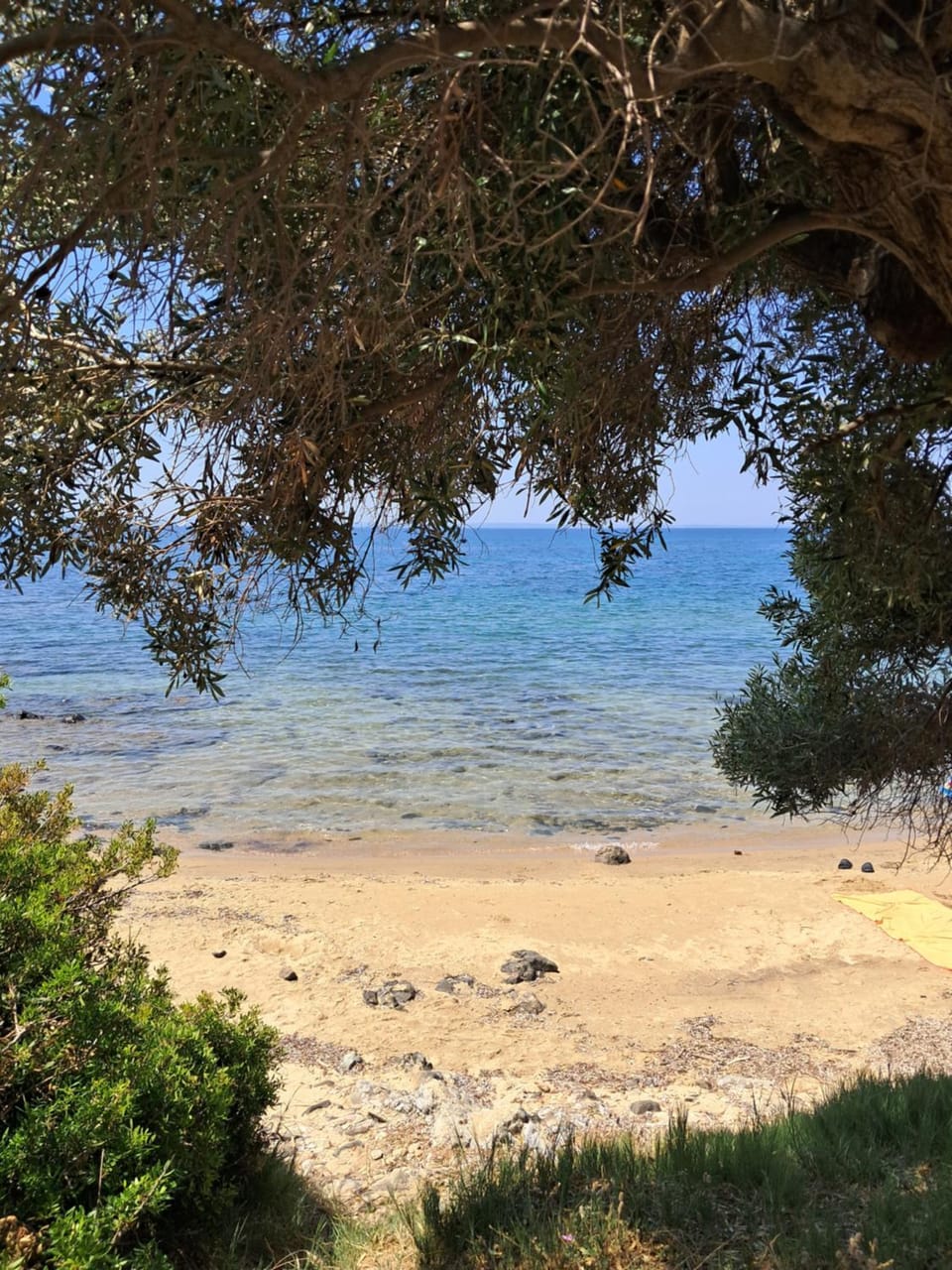 Elia House Villa in Halkidiki