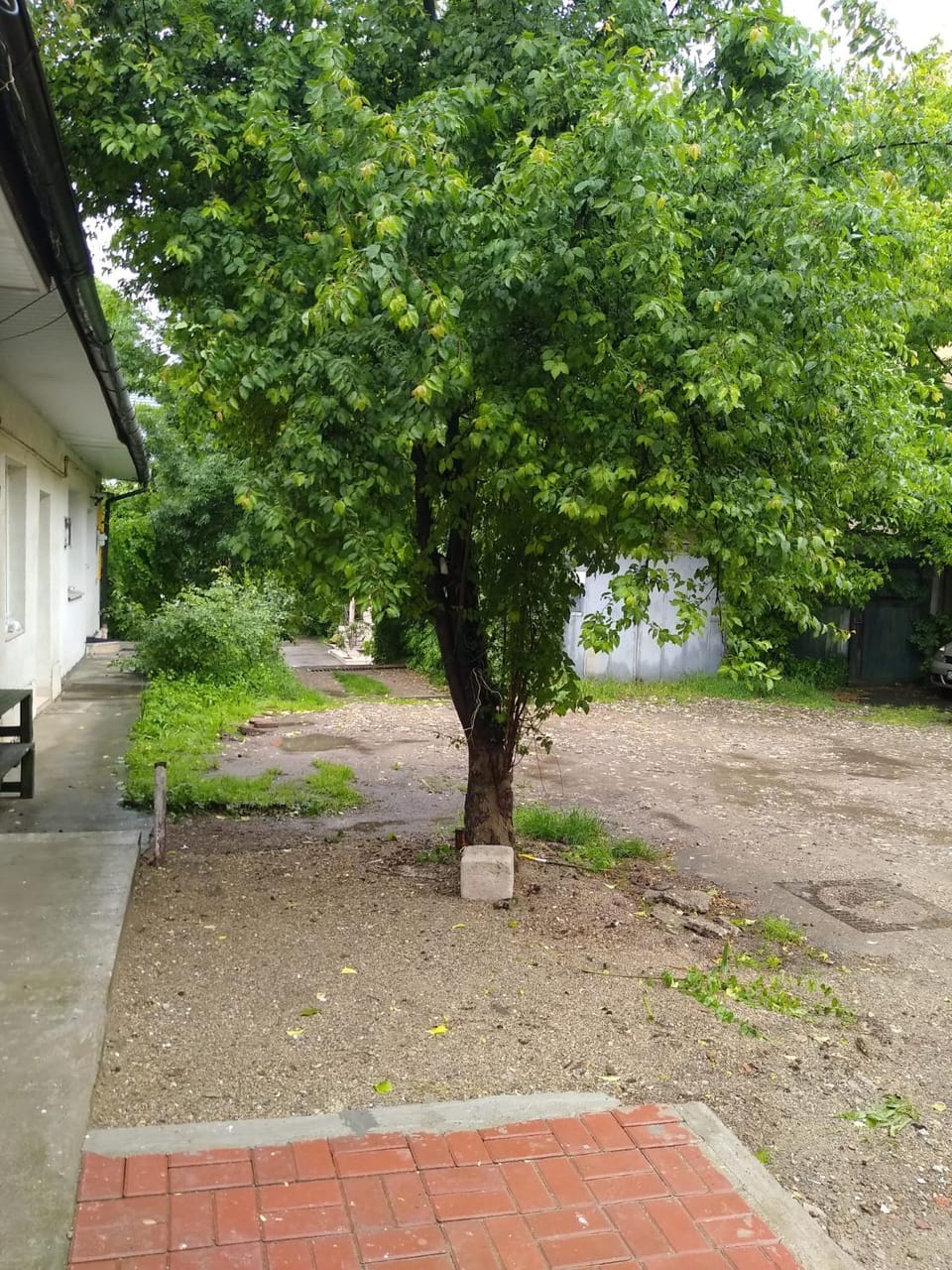 Garsoniera in centru Apartment in Cluj-Napoca